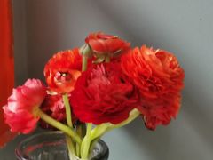 -橘酱餐厅