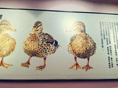 -姐妹鸭仔饭店(湾南路店)