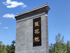-莲花池公园