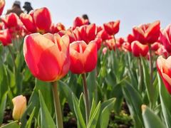 -白沙门生态公园