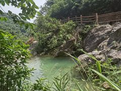 -南海湾森林生态园