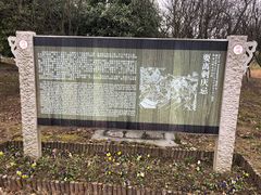 -梁鸿国家湿地公园
