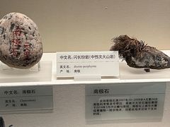 -天津自然博物馆
