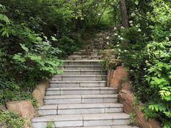-棒棰岛宾馆景区