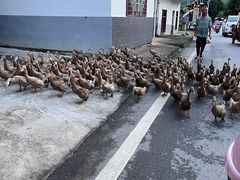 -村上春树