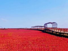 -红海滩国家风景廊道