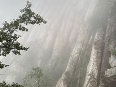 -少林寺欢喜地素斋馆