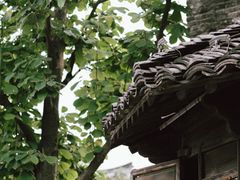 -乌镇景区