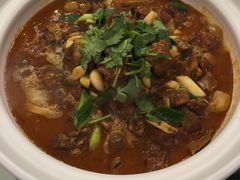 红焖锡盟羔羊肉-禾珍珠家常小馆(河南博物院店)