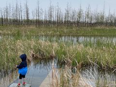 -春花秋色城市公园