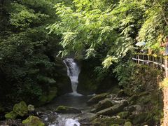 -神农架香溪源景区