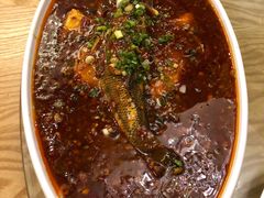 -陈麻婆豆腐总店