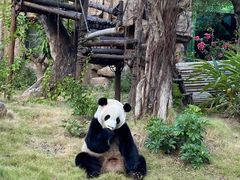 -灵玲国际马戏城