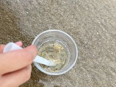 -嵊泗基湖沙滩