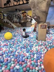 -卡通尼·Safari非洲探索乐园·生日会(金桥国际商业广场店)