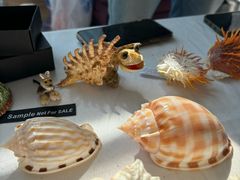 -浙江自然博物院(杭州馆)