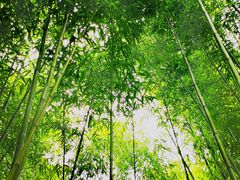 -绍兴古城