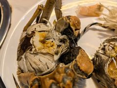大闸蟹-九月海·海鲜自助(世纪东方店)