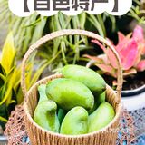 “芒芒”人海，有“果”相伴