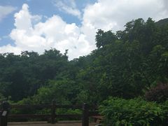 -清溪大王山森林公园