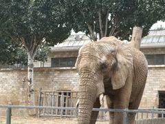 -石家庄市动物园