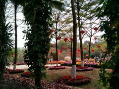 -广东茂名森林公园