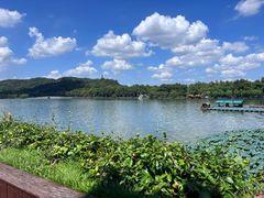 -湖畔居茶楼(湖滨店)