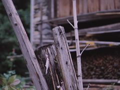 -千峡湖生态旅游度假区