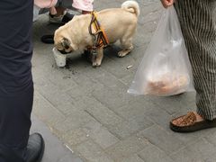 -珊珊小笼馆(仙霞路店)