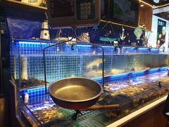 -必点海鲜·鲅鱼水饺(鞍山西道店)