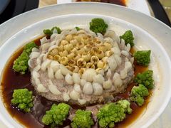 -丁老爷子苏香圆