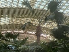 -杭州开元森泊度假乐园