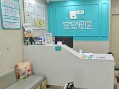 -安安宠医宠物医院·异宠·犬猫内科(岳阳分院)