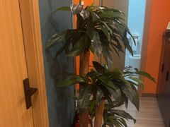 -Together·泰式按摩精油SPA(天山店)