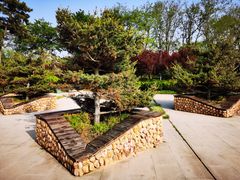 -大锅强·蒸海鲜青岛菜(吾悦广场店)