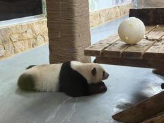 -无锡动物园·太湖欢乐园