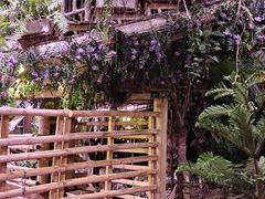-正佳雨林生态植物园