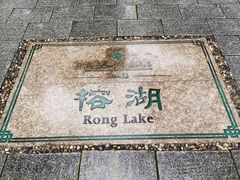 -桂林市榕杉湖景区