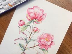 -六出私塾LiuChu•成人美术书法系统课程专业画室(熊婆婆的花园店)
