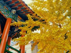 -长安寺