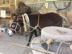 -河北村民俗体验园