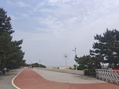 -日照海滨国家森林公园