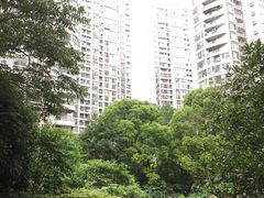 -新湖明珠城