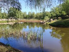 -莫子山公园