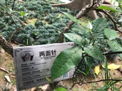 -广州神农草堂中医药博物馆