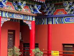 -东莞市大岭山森林公园