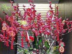 -广州酒家(中华广场店)