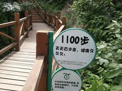 -大岭沟猕猴桃谷风景区