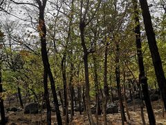 -阳台山自然风景区