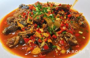 Sauce-Braised Turtle
